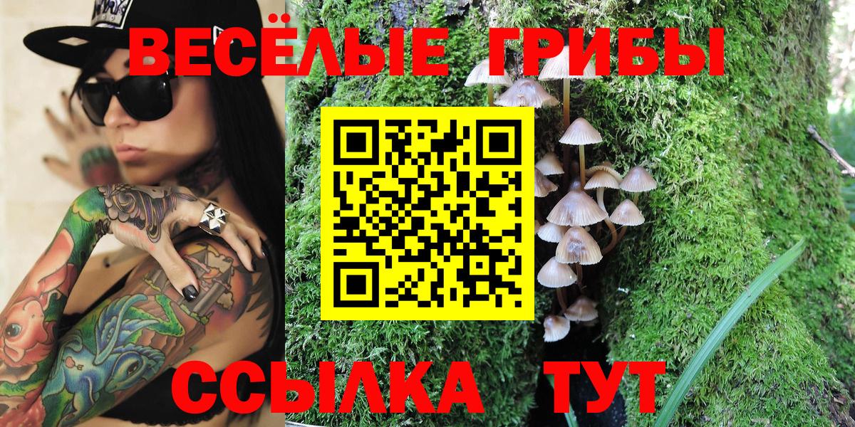Горячий Ключ  Псилоцибиновые грибы MAGIC MUSHROOMS  Вход с VPN 