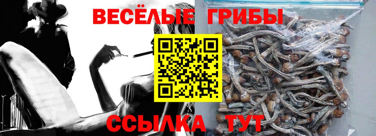 Псилоцибиновые грибы мухоморы Горячий Ключ